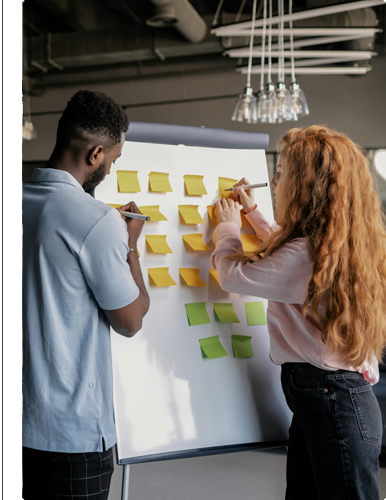 Project management training and education